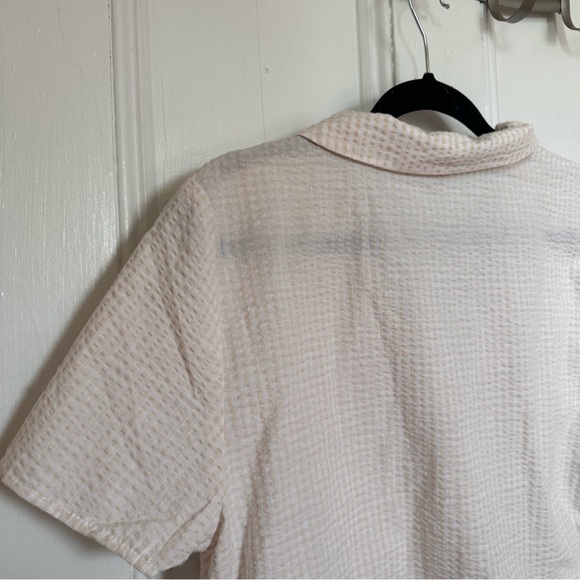 H&M Cream and White Checkered Collared Button Up Crop Top - Picture 6 of 10
